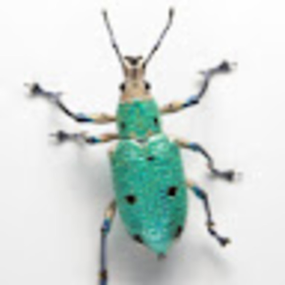 Meet your Posher, Ashley - Picture 1 of 1